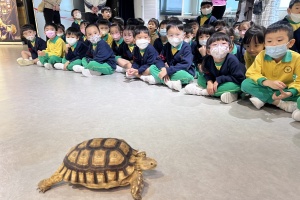 25-26 October 22, 2025 K3 高班爬蟲類動物體驗活動 K3  Reptile Experience Activity
